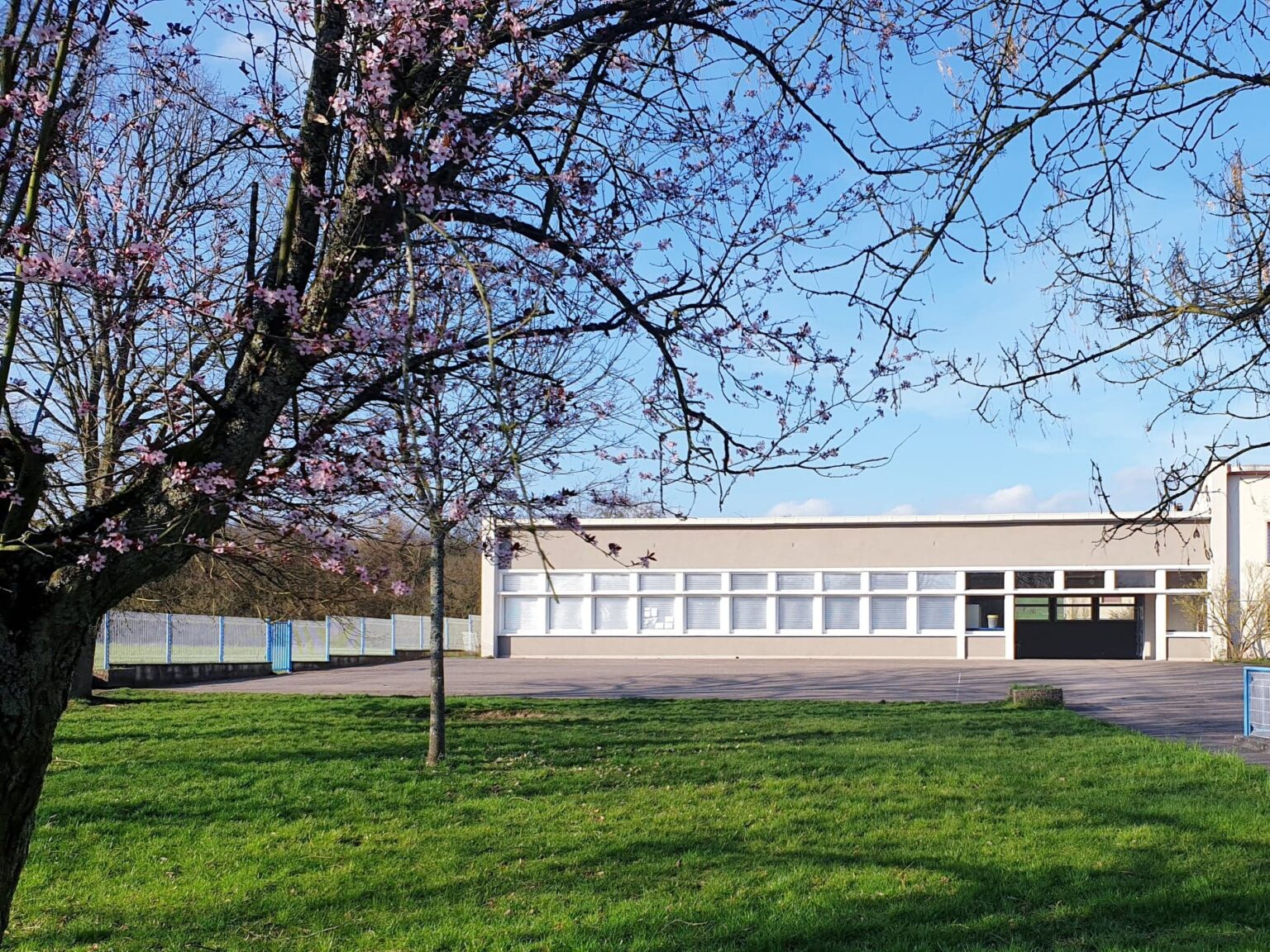 Le bâtiment de l'école vu depuis la pelouse : une longue construction basse percée d'une rangée de fenêtres, une porte sombre au centre, la cour devant, et un arbre en fleurs au premier plan.