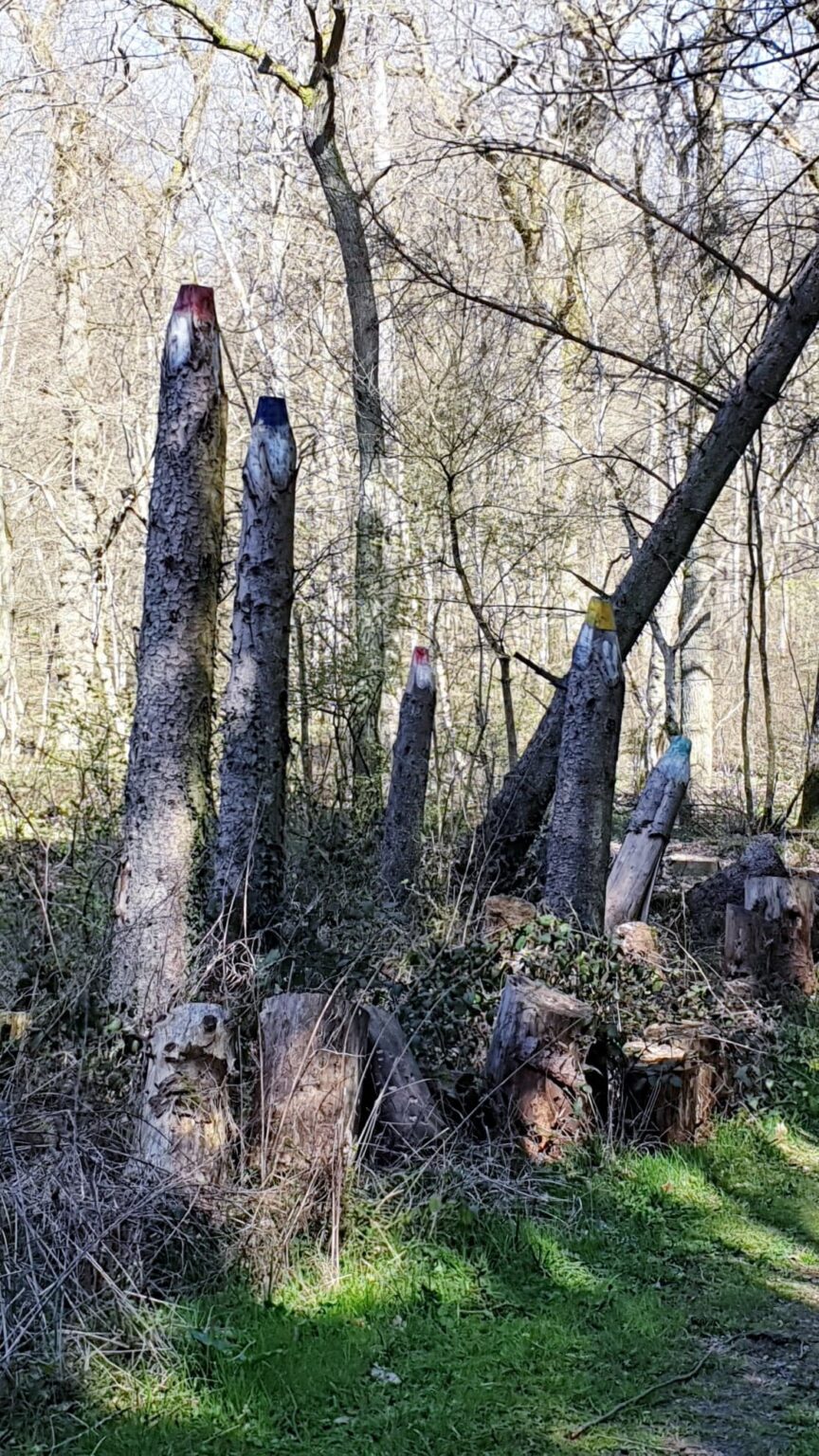 Cinq troncs dressés au bord du chemin, taillés en pointe et peints à leur sommet en rouge, bleu, jaune et turquoise, comme des crayons géants plantés dans le sous-bois.